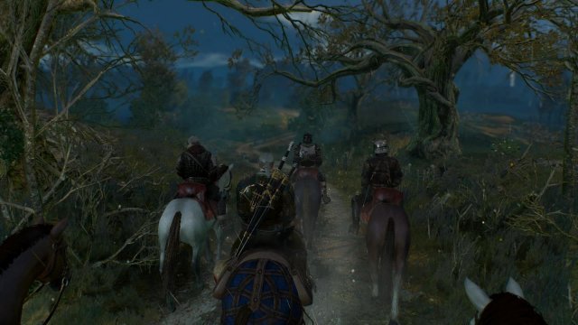 witcher3 2022-01-13 00-46-00-02.jpg