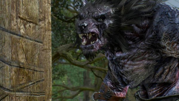 ВОЛКОЛАК, или монстры мира  Ведьмак III