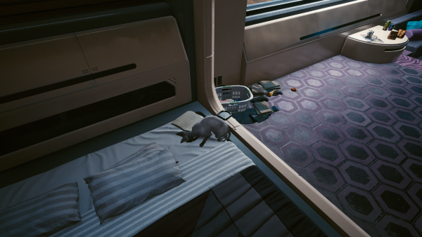 photomode_12032022_172058