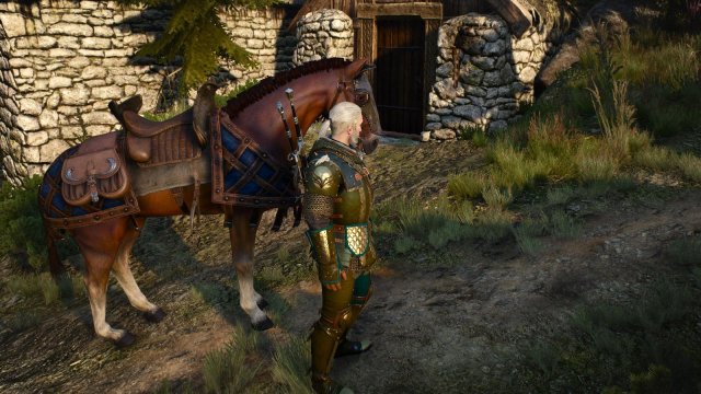 witcher3 2022-04-26 21-55-12-39.jpg