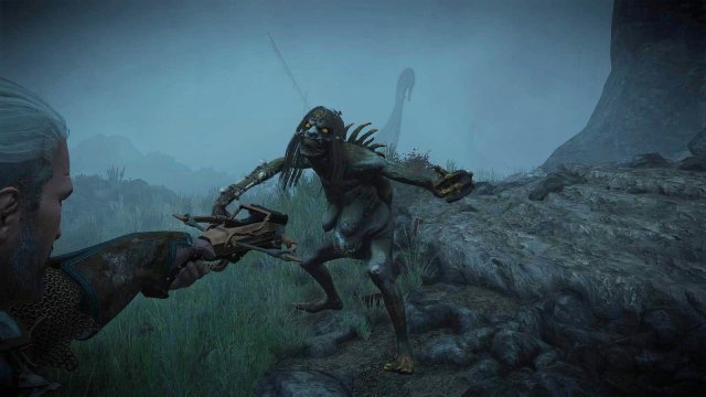 witcher3 2022-01-19 21-50-41-05.jpg