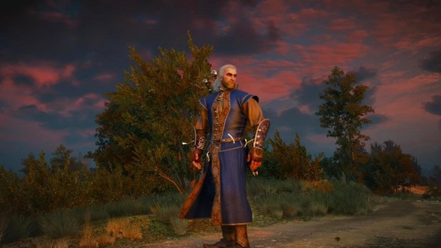 witcher3 2022-04-27 22-57-51-66.jpg