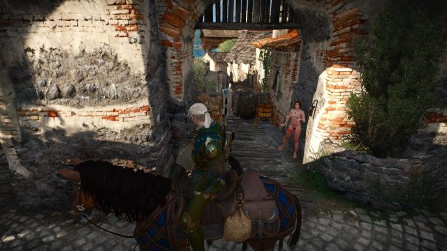 witcher3 2022-01-31 21-08-15-51.jpg