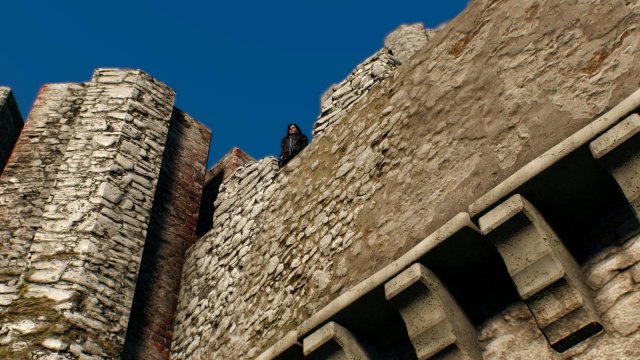 witcher3 2022-01-19 22-50-39-77.jpg