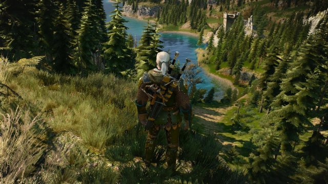 witcher3 2022-01-18 01-11-26-80.jpg