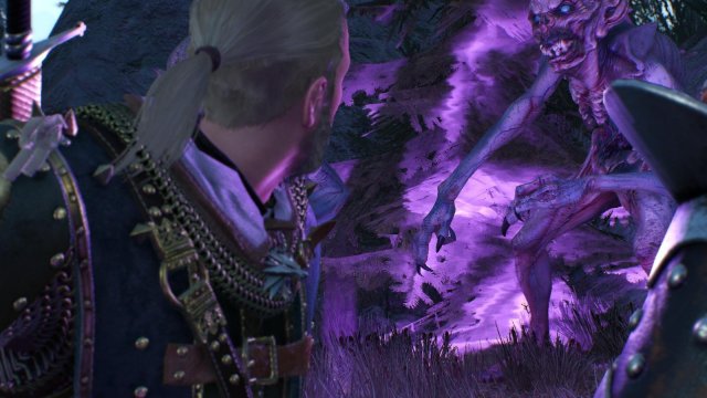 witcher3 2022-01-18 00-48-06-17.jpg