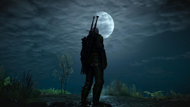 witcher3 2022-04-22 23-49-16-35.jpg