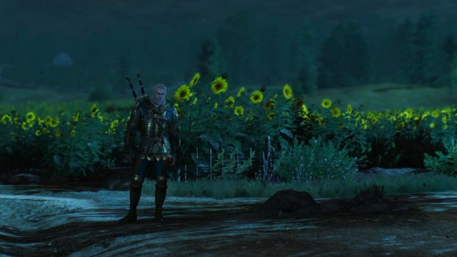 witcher3 2022-02-12 22-14-12-23.jpg