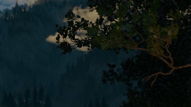 witcher3 2022-01-19 23-23-40-99.jpg