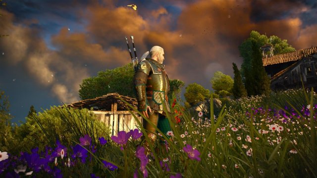 witcher3 2022-04-26 22-34-38-69.jpg