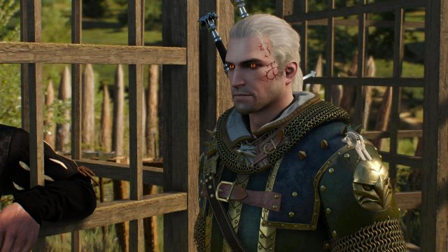 witcher3 2022-04-20 00-09-21-47.jpg