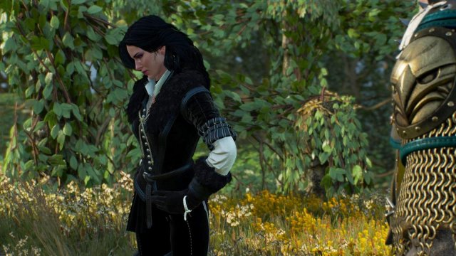 witcher3 2022-01-11 22-16-21-48.jpg