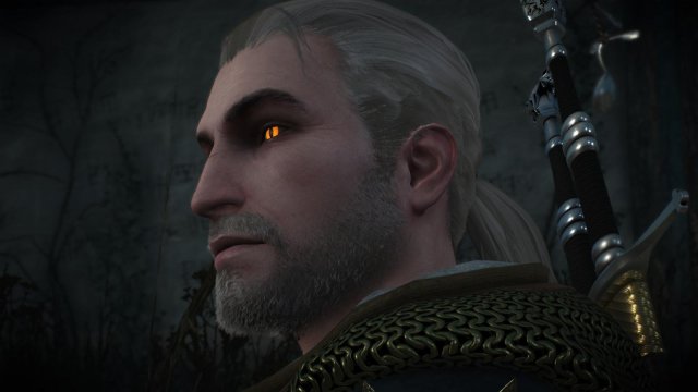 witcher3 2022-02-07 21-31-20-29.jpg