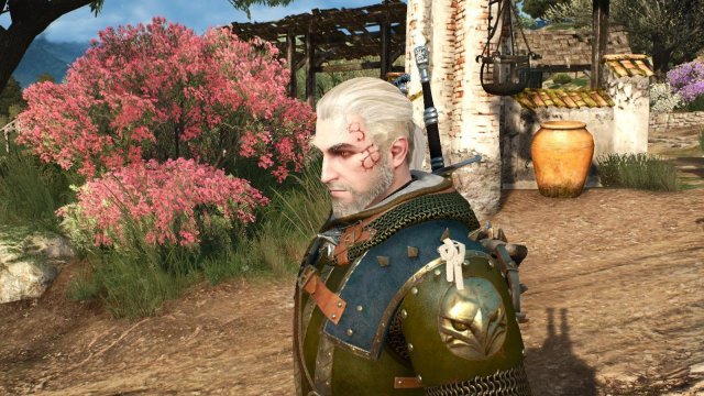 witcher3 2022-02-12 23-10-17-04.jpg