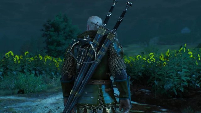 witcher3 2022-02-12 22-05-50-14.jpg