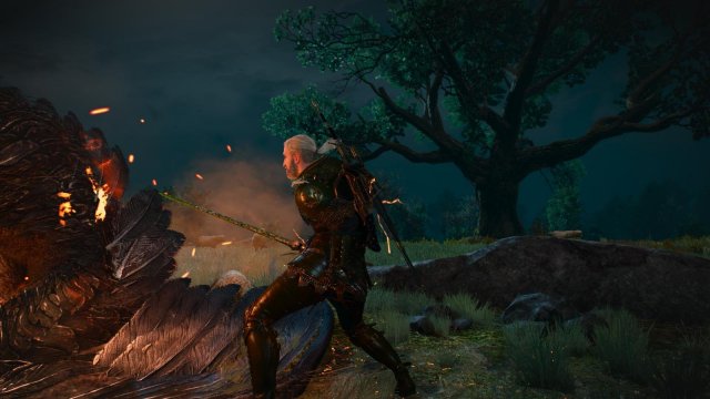 witcher3 2022-01-18 22-15-47-54.jpg