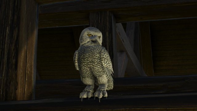 witcher3 2022-01-22 14-48-15-91.jpg