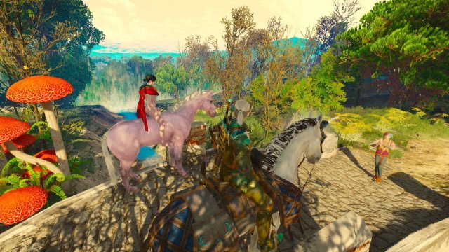 witcher3 2022-02-10 23-26-12-34.jpg