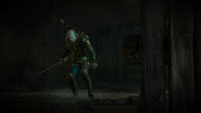 witcher3 2022-02-12 00-20-31-05.jpg