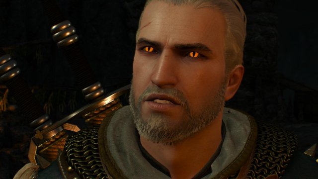 witcher3 2022-02-11 23-07-28-44.jpg