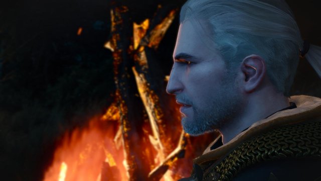 witcher3 2022-01-24 00-00-44-25.jpg