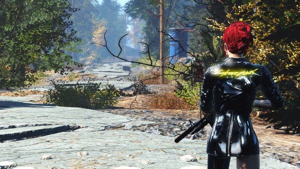 Дороги Содружества..