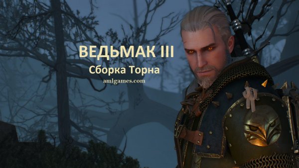 Обложка 2. Ведьмак III (сборка Торна)