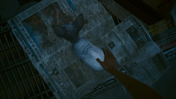 photomode_23042022_151308