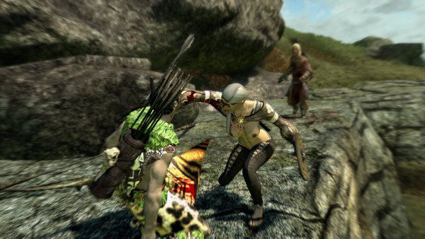 Вид спереди.)