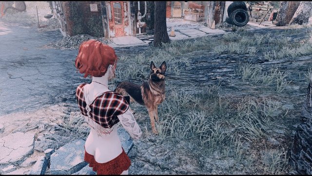 Fallout4 2022-05-17 17-38-54.jpg