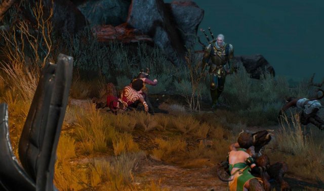 witcher3 2022-01-20 00-39-08-56.jpg