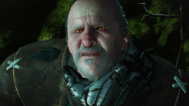 witcher3 2022-01-19 23-17-37-33.jpg