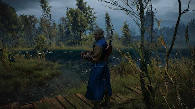 witcher3 2022-05-04 22-23-16-65.jpg