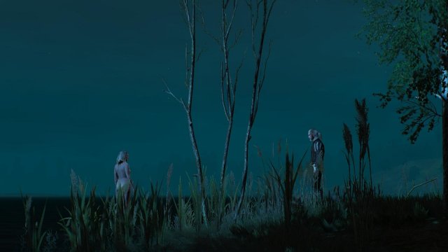 witcher3 2022-05-05 22-33-52-53.jpg