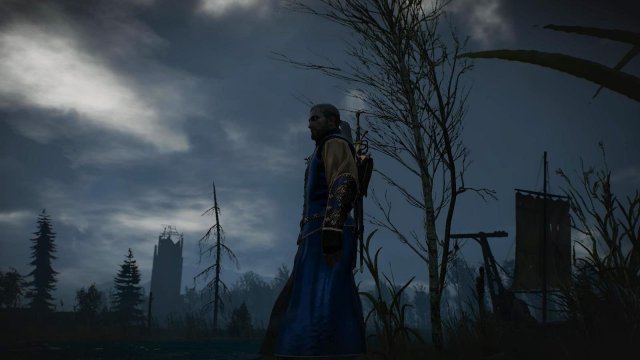 witcher3 2022-05-04 22-23-33-33.jpg