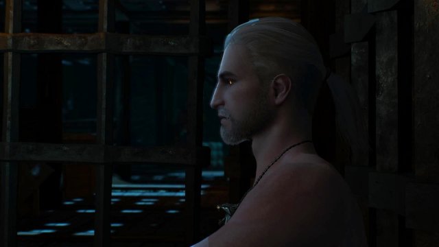 witcher3 2022-02-12 00-51-46-82.jpg