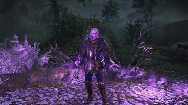 witcher3 2022-04-21 21-28-00-75.jpg