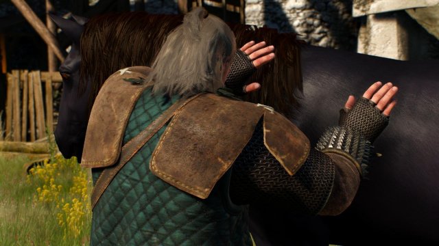 witcher3 2022-01-19 22-17-46-93.jpg