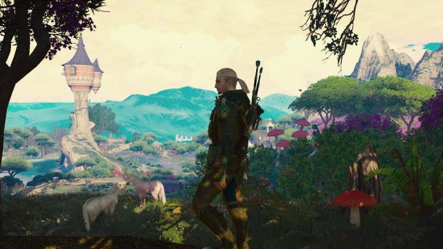 witcher3 2022-02-10 23-05-12-37.jpg