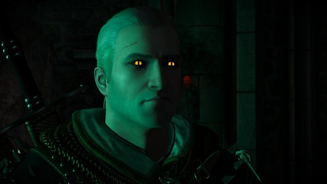 witcher3 2022-02-12 23-55-22-69.jpg