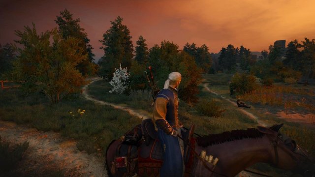 witcher3 2022-05-05 23-21-21-62.jpg