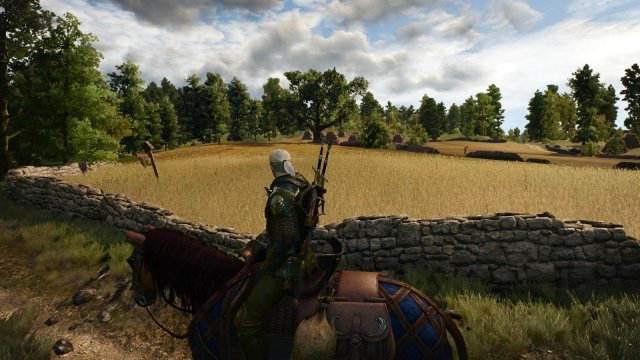 witcher3 2022-04-21 21-09-45-70.jpg