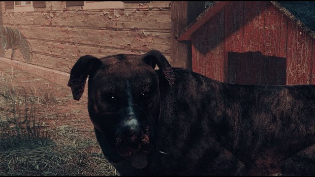 Fallout4 2022-05-17 21-05-29.jpg