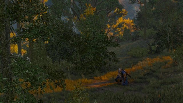 witcher3 2022-04-28 20-38-20-84.jpg