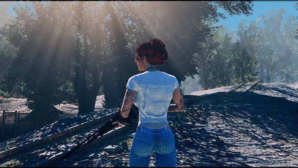 В дубравах.. Fallout-4 (Сборка 7.5)