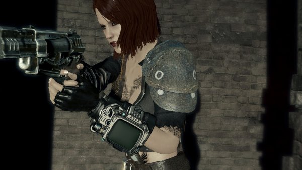 Fallout4 сборка 6.5.1