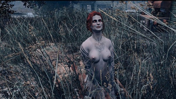 В траве.. Fallout-4 (Сборка 7.5)