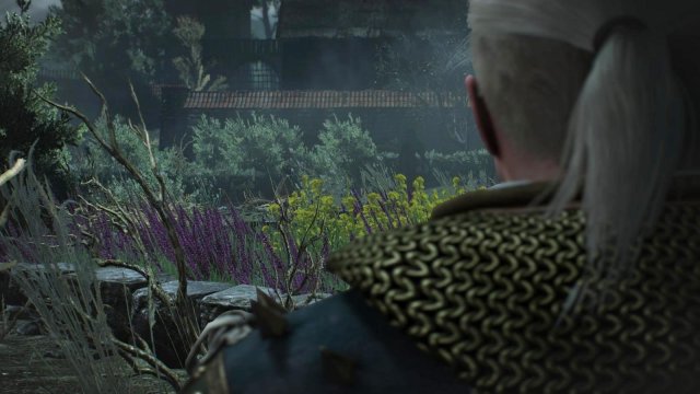 witcher3 2022-04-21 21-17-43-51.jpg