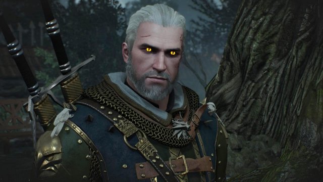 witcher3 2022-04-21 21-56-50-10.jpg