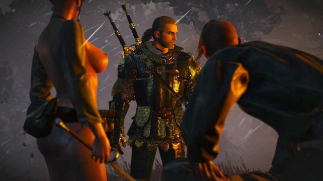 witcher3 2022-02-12 22-21-45-93.jpg